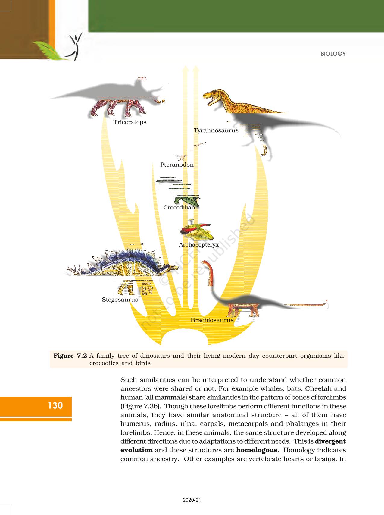 Evolution - NCERT Book Of Class 12 Biology